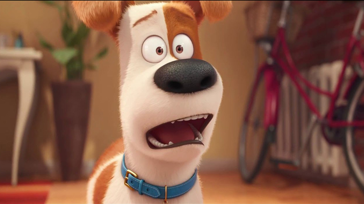 The Secret Life of Pets: Sweet, Funny and Manic Moments