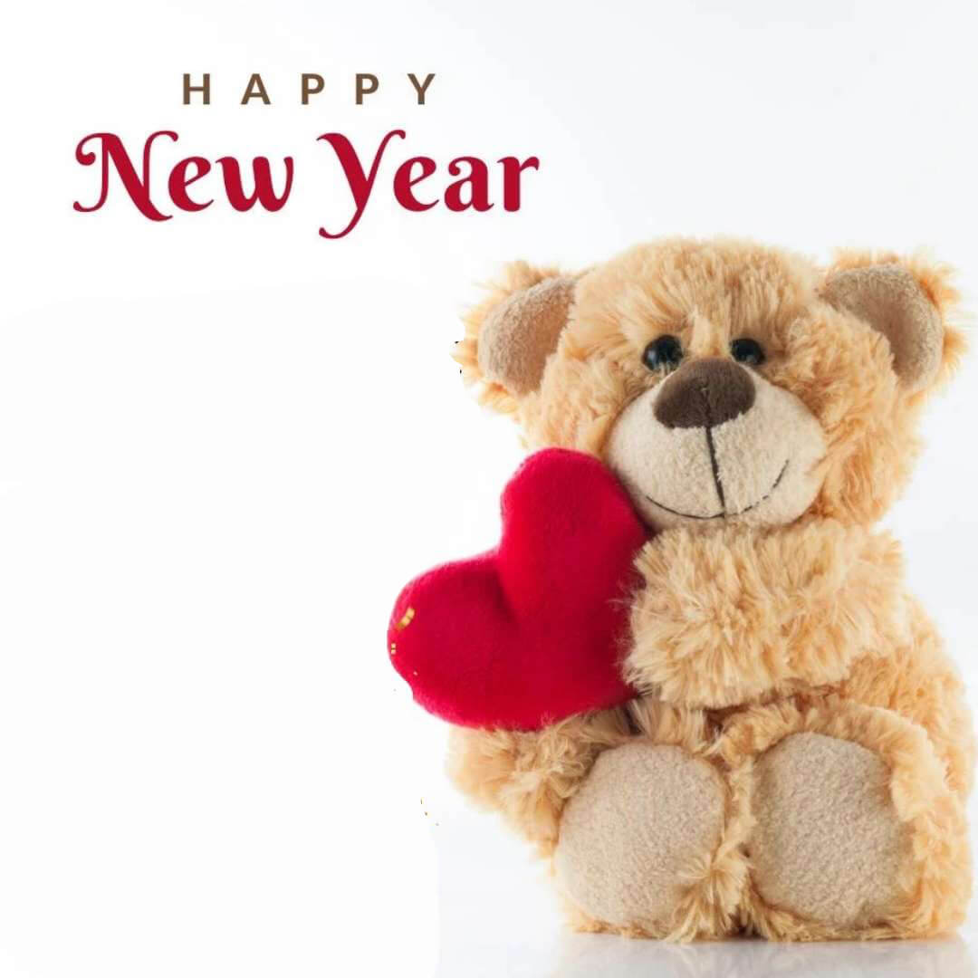 50 Best Happy New Year 2025 Teddy Bear Wishes (with Pictures)