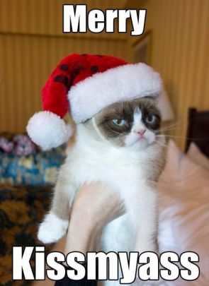 Funny Christmas Memes