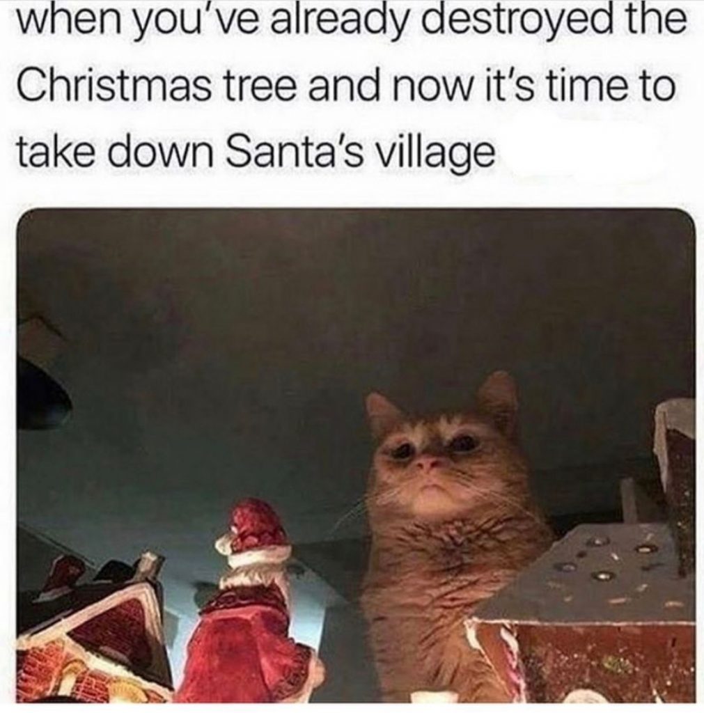 Funny Christmas Photos