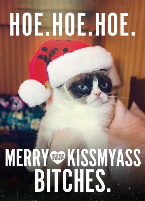 Funny Merry Christmas Meme