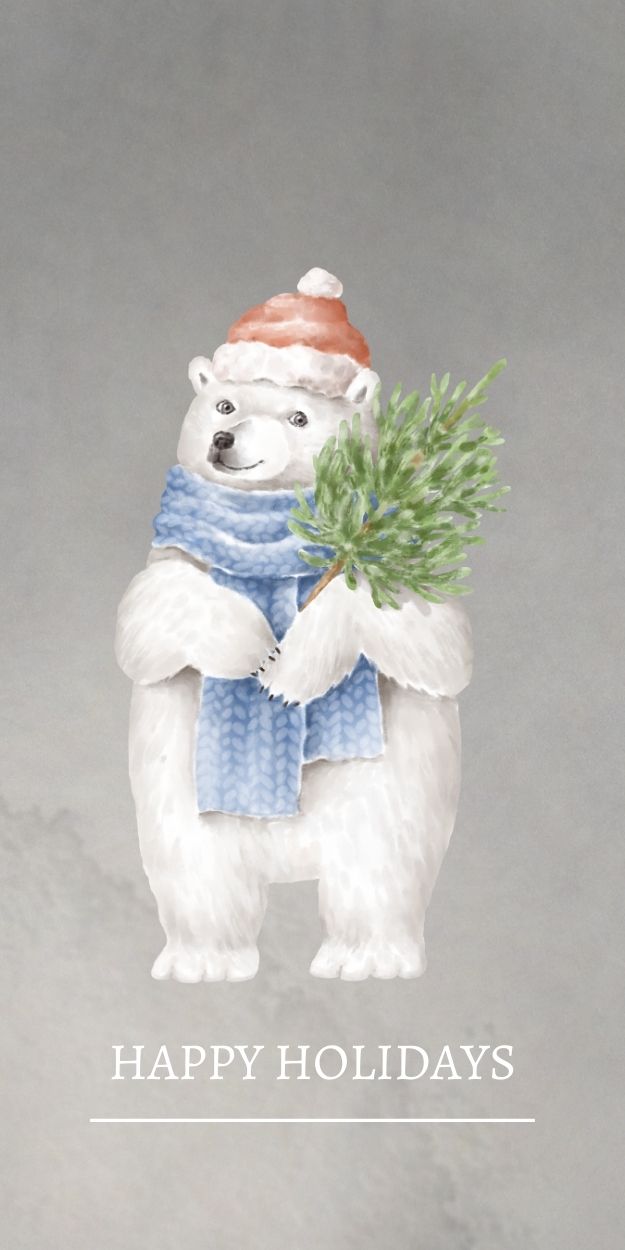 Happy Holidays Teddy Bear Images HD