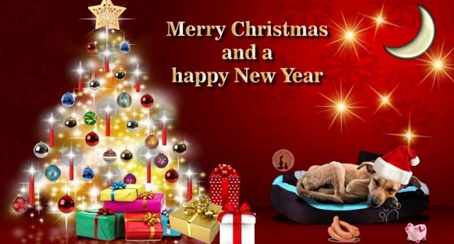 Merry-Christmas And Happy New Year