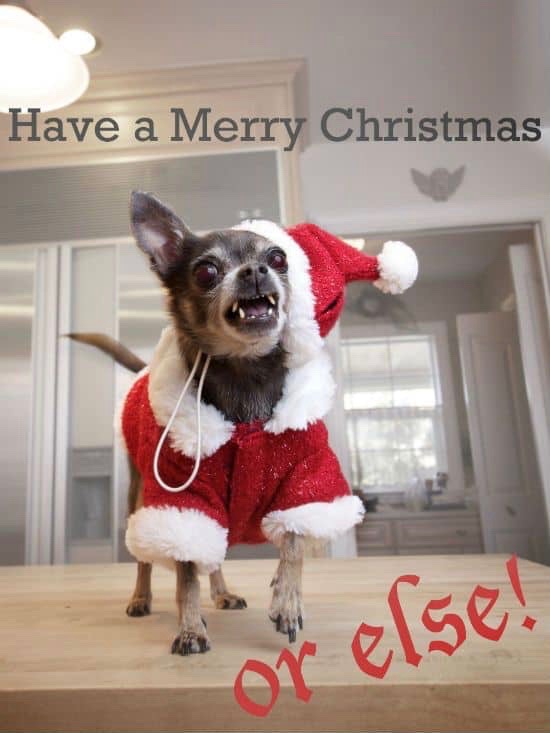 Merry Christmas Memes