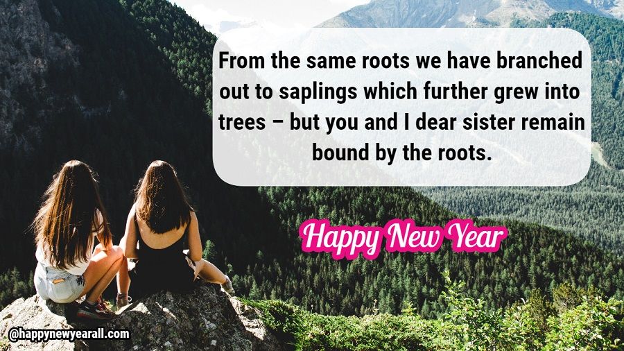 Happy New Year Message for Sister