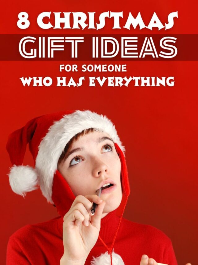 8 Christmas Gift Ideas for Someone Who has Everything