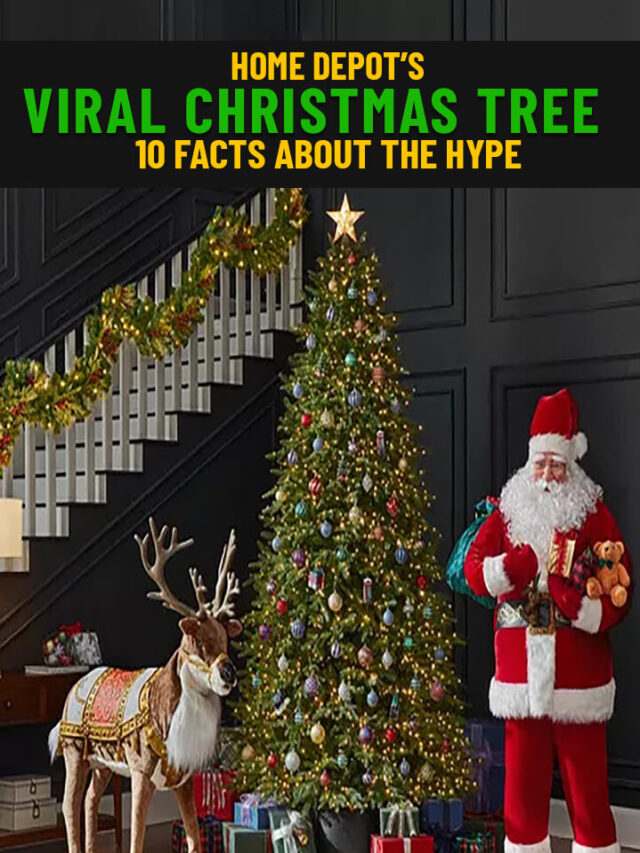 Home Depot’s Viral Christmas Tree – 10 Facts about Hype